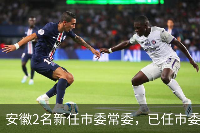 安徽2名新任市委常委，已任市委组织部部长