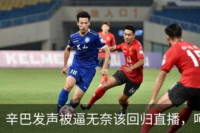 辛巴发声被逼无奈该回归直播，呵斥ks平台搞虚假繁荣
