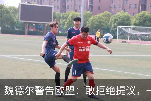 魏德尔警告欧盟：敢拒绝提议，一旦选择党上台，德国直接公投脱欧